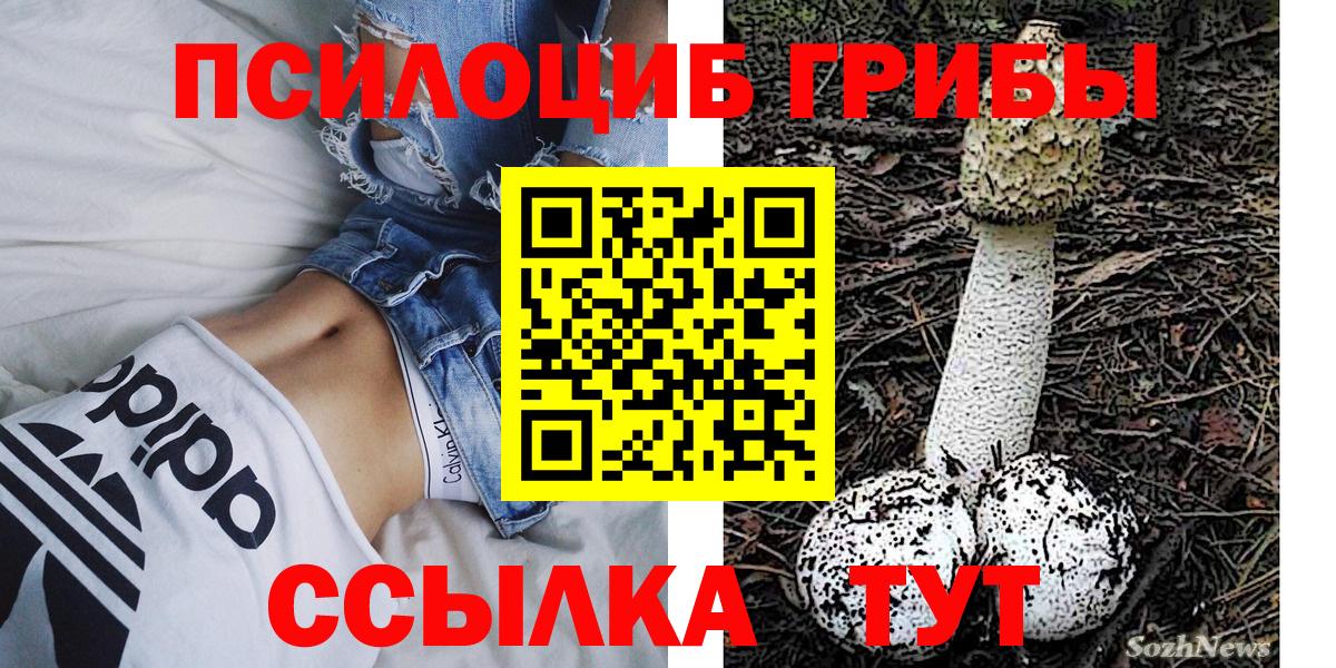 Галлюциногенные грибы MAGIC MUSHROOMS Кашира